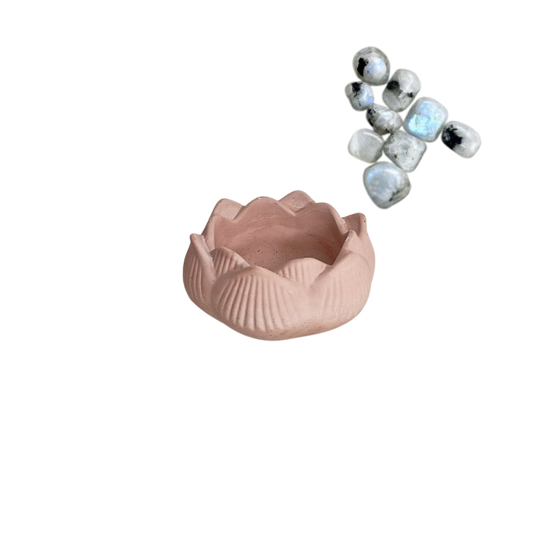 Flor de Lótus - Terracotta