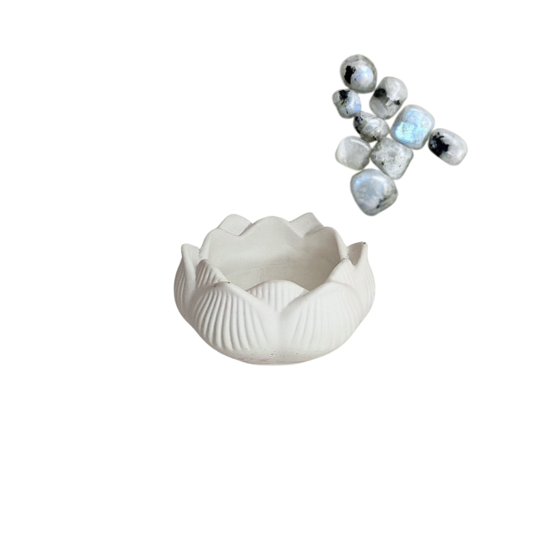Flor de Lótus - Branco