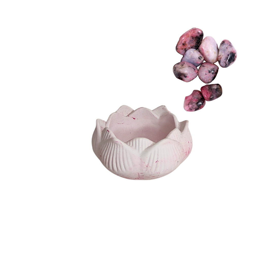 Flor de Lótus - Rosa