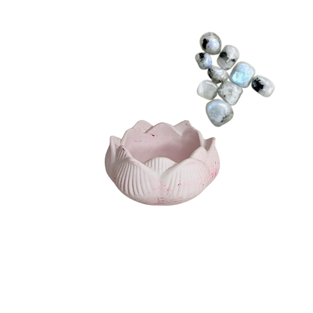 Flor de Lótus - Rosa
