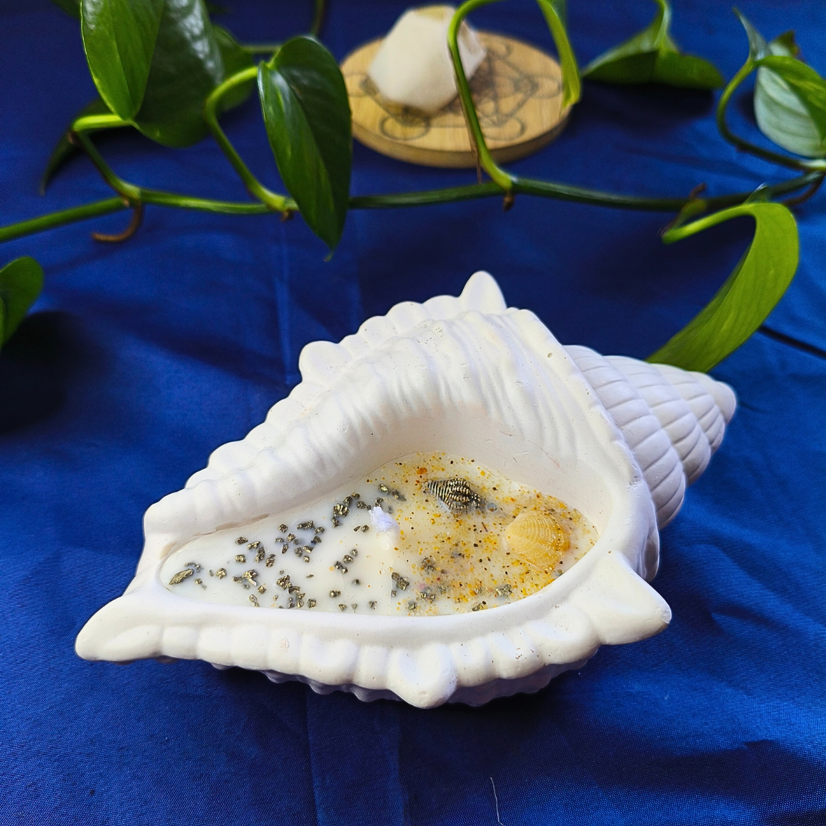 Vela Búzio com Óleo Essencial de Alecrim e Pirite