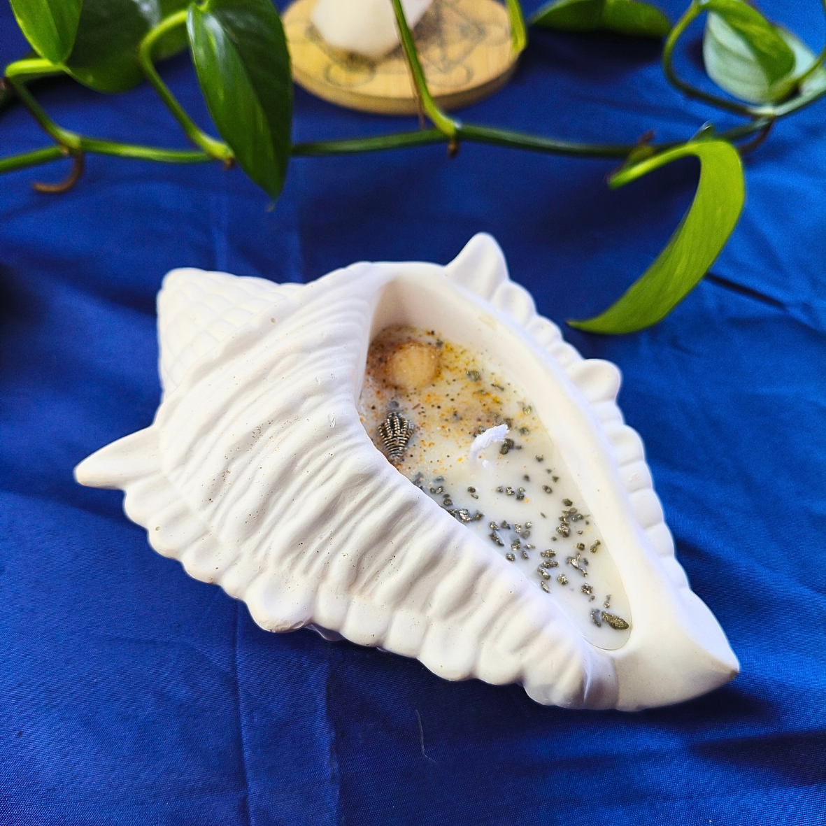 Vela Búzio com Óleo Essencial de Alecrim e Pirite