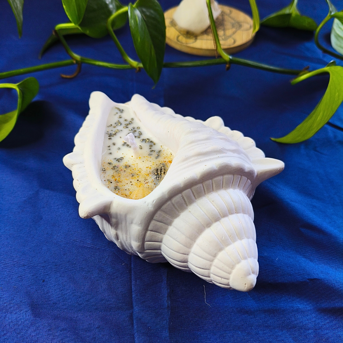 Vela Búzio com Óleo Essencial de Alecrim e Pirite