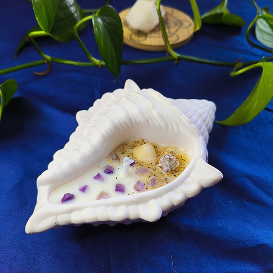 Vela Búzio com Óleo Essencial de Lavanda e Ametista
