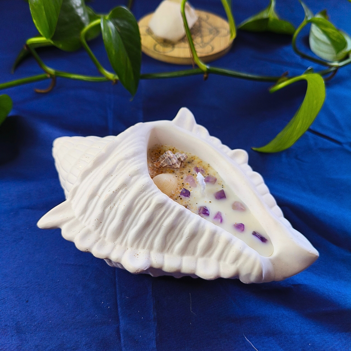 Vela Búzio com Óleo Essencial de Lavanda e Ametista