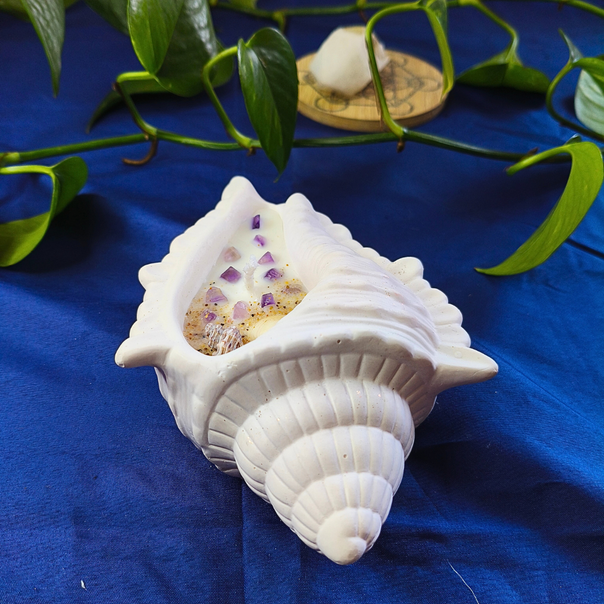 Vela Búzio com Óleo Essencial de Lavanda e Ametista